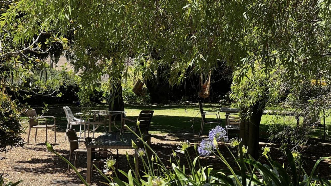 סטלנבוש In The Vine Country Manor Guesthouse מראה חיצוני תמונה