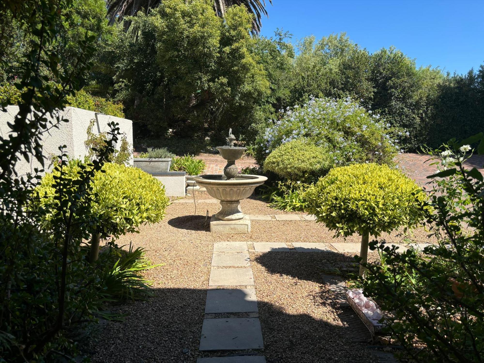 סטלנבוש In The Vine Country Manor Guesthouse מראה חיצוני תמונה