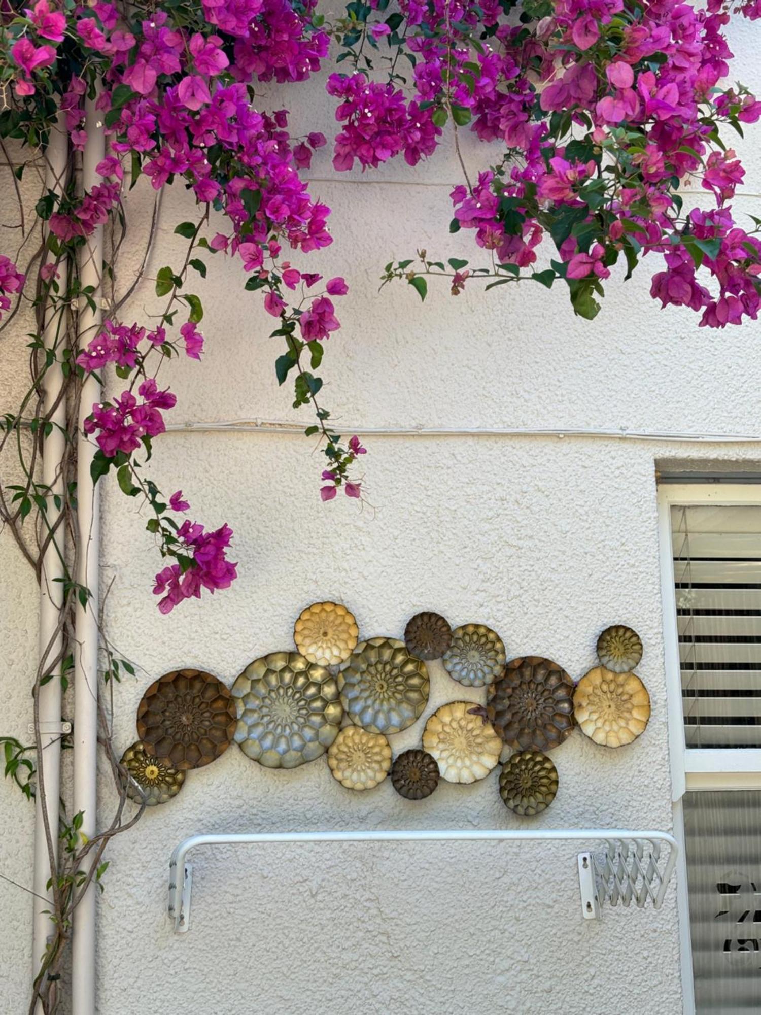 סטלנבוש In The Vine Country Manor Guesthouse מראה חיצוני תמונה