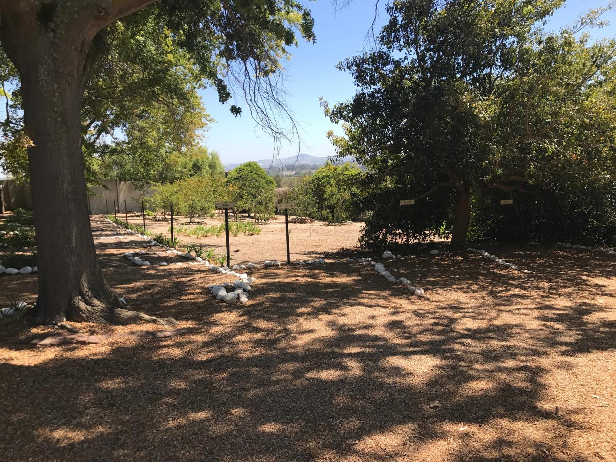 סטלנבוש In The Vine Country Manor Guesthouse מראה חיצוני תמונה