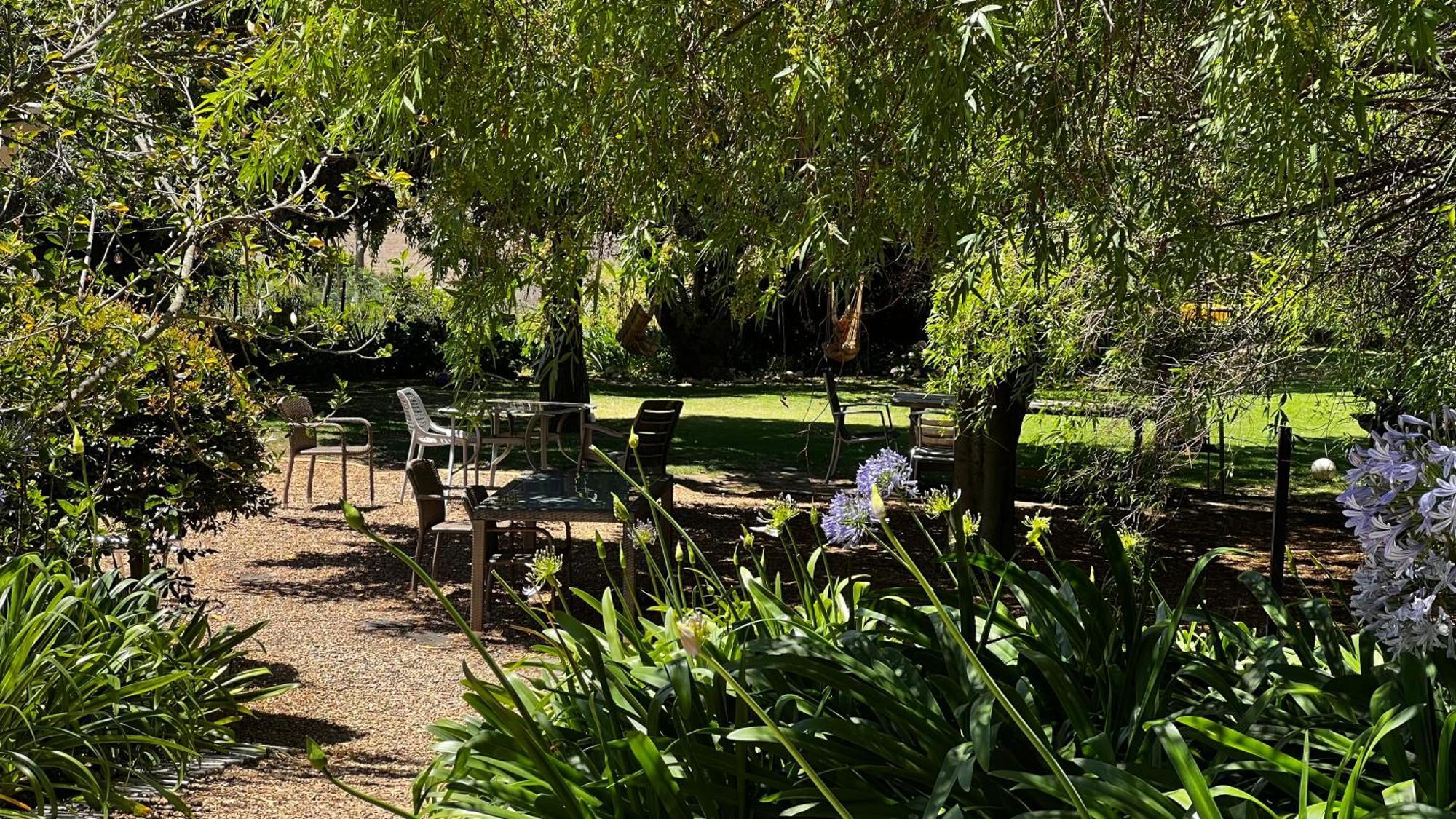 סטלנבוש In The Vine Country Manor Guesthouse מראה חיצוני תמונה