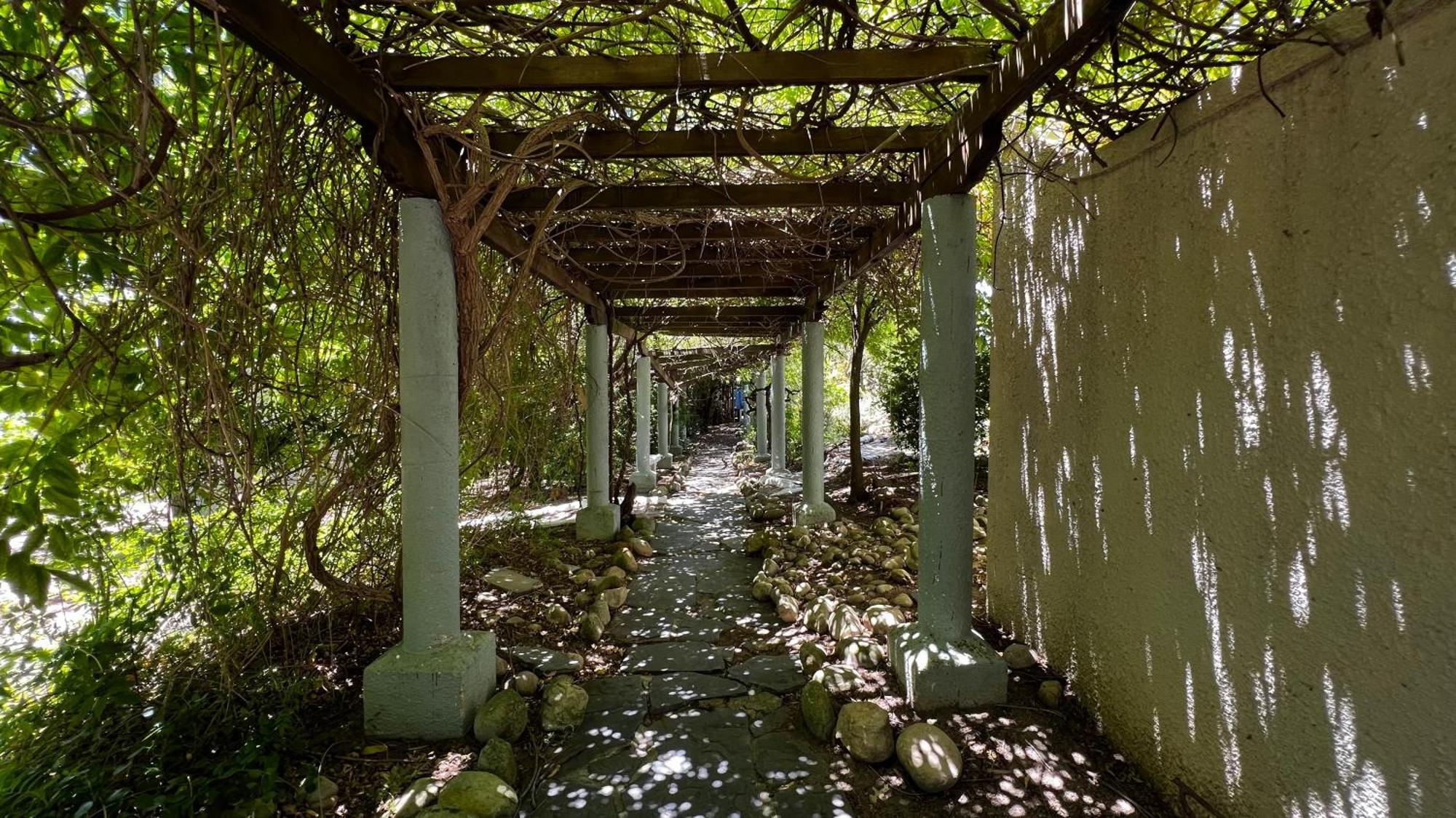 סטלנבוש In The Vine Country Manor Guesthouse מראה חיצוני תמונה