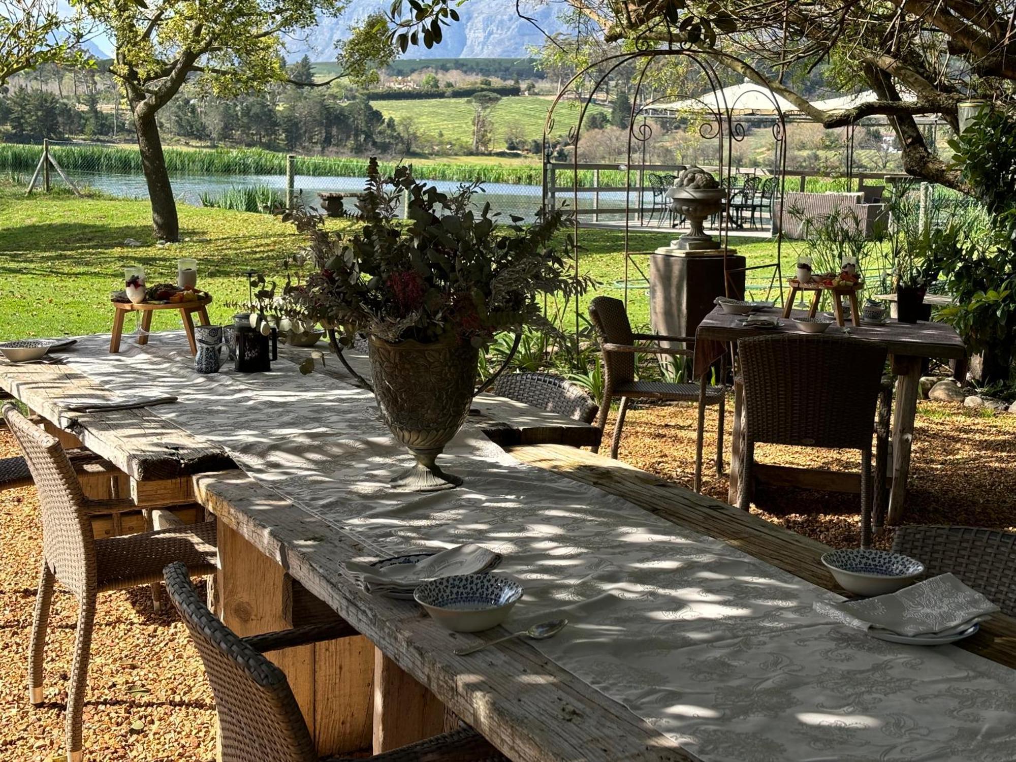 סטלנבוש In The Vine Country Manor Guesthouse מראה חיצוני תמונה