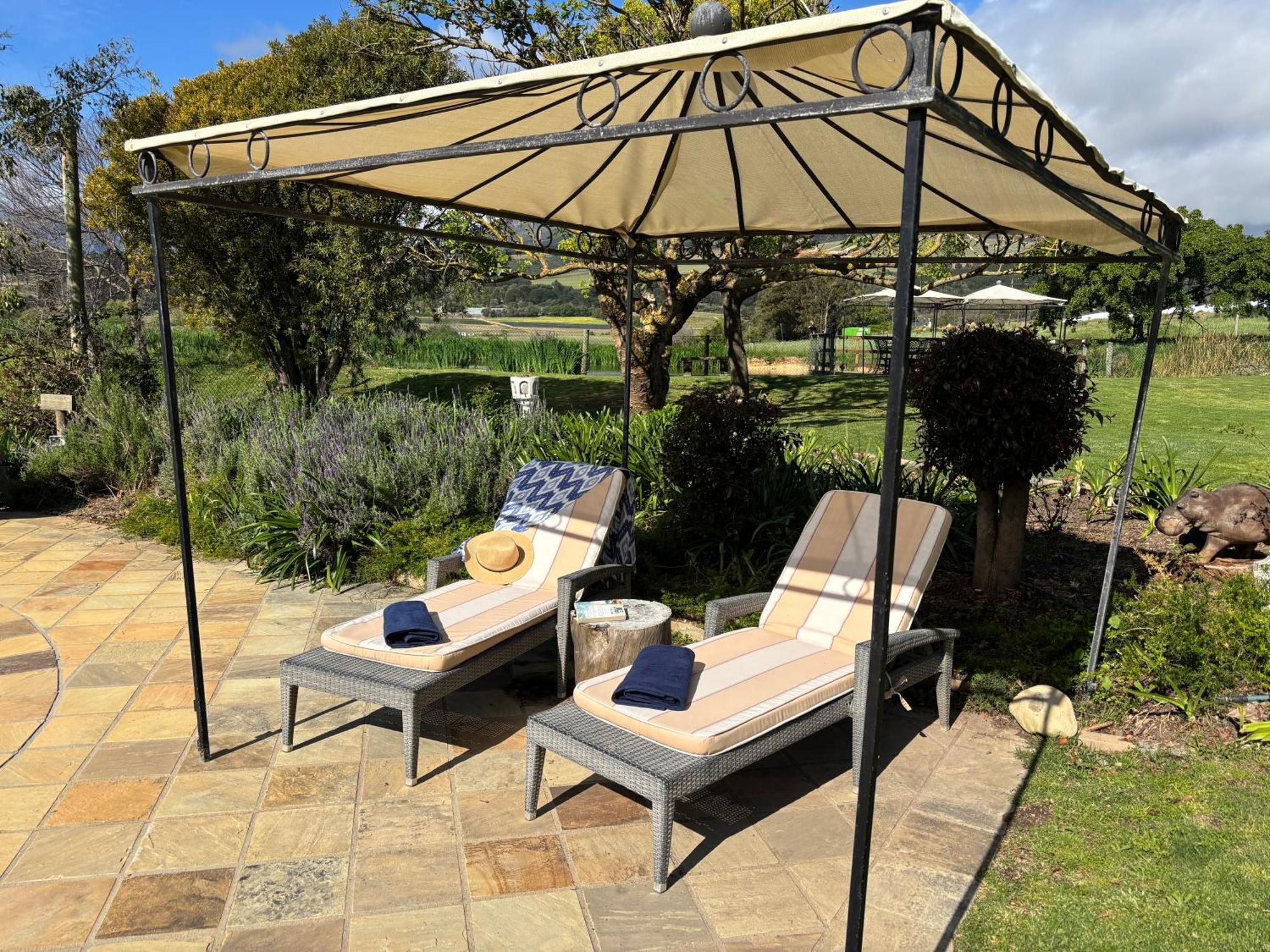 סטלנבוש In The Vine Country Manor Guesthouse מראה חיצוני תמונה