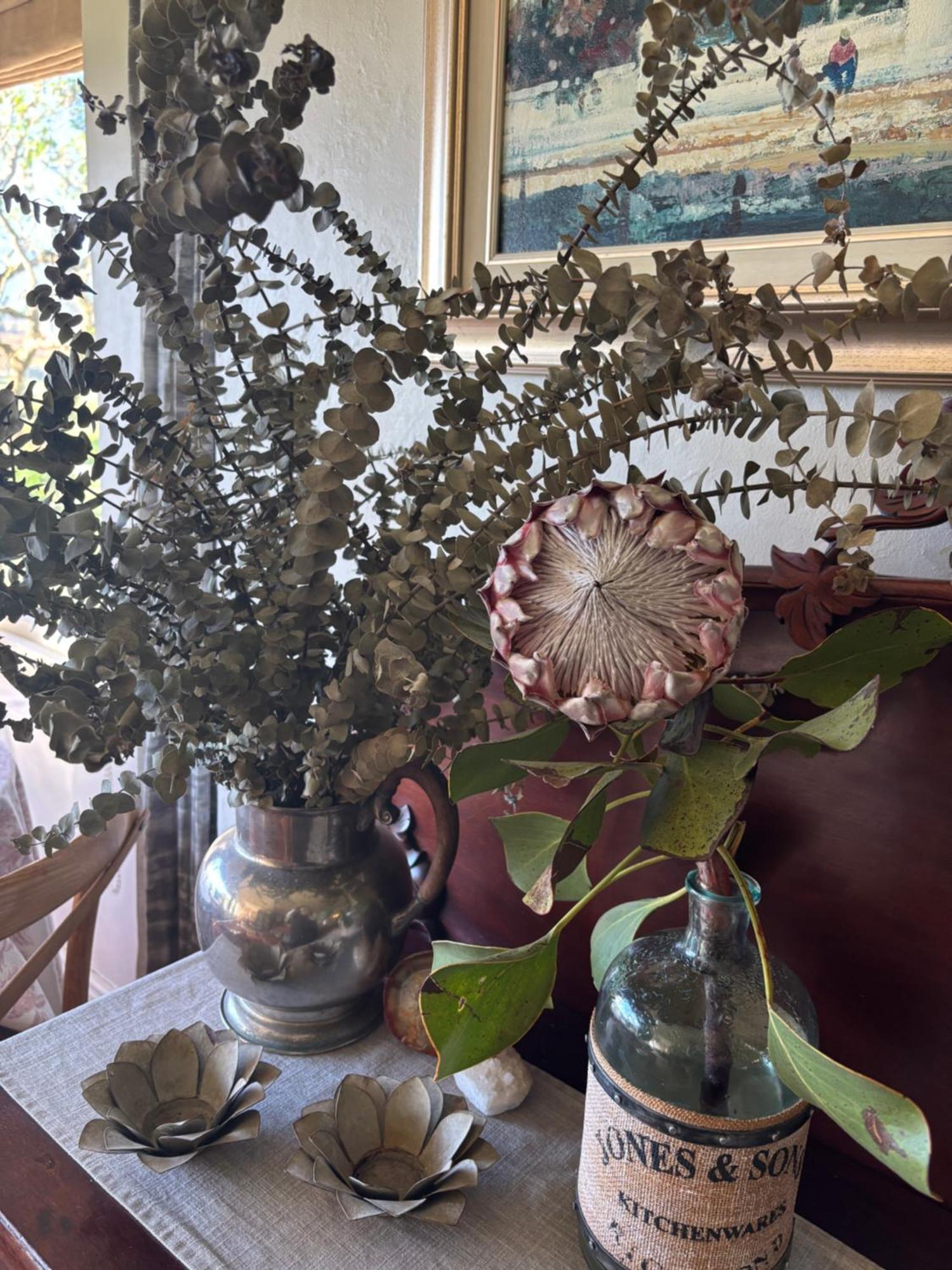 סטלנבוש In The Vine Country Manor Guesthouse מראה חיצוני תמונה