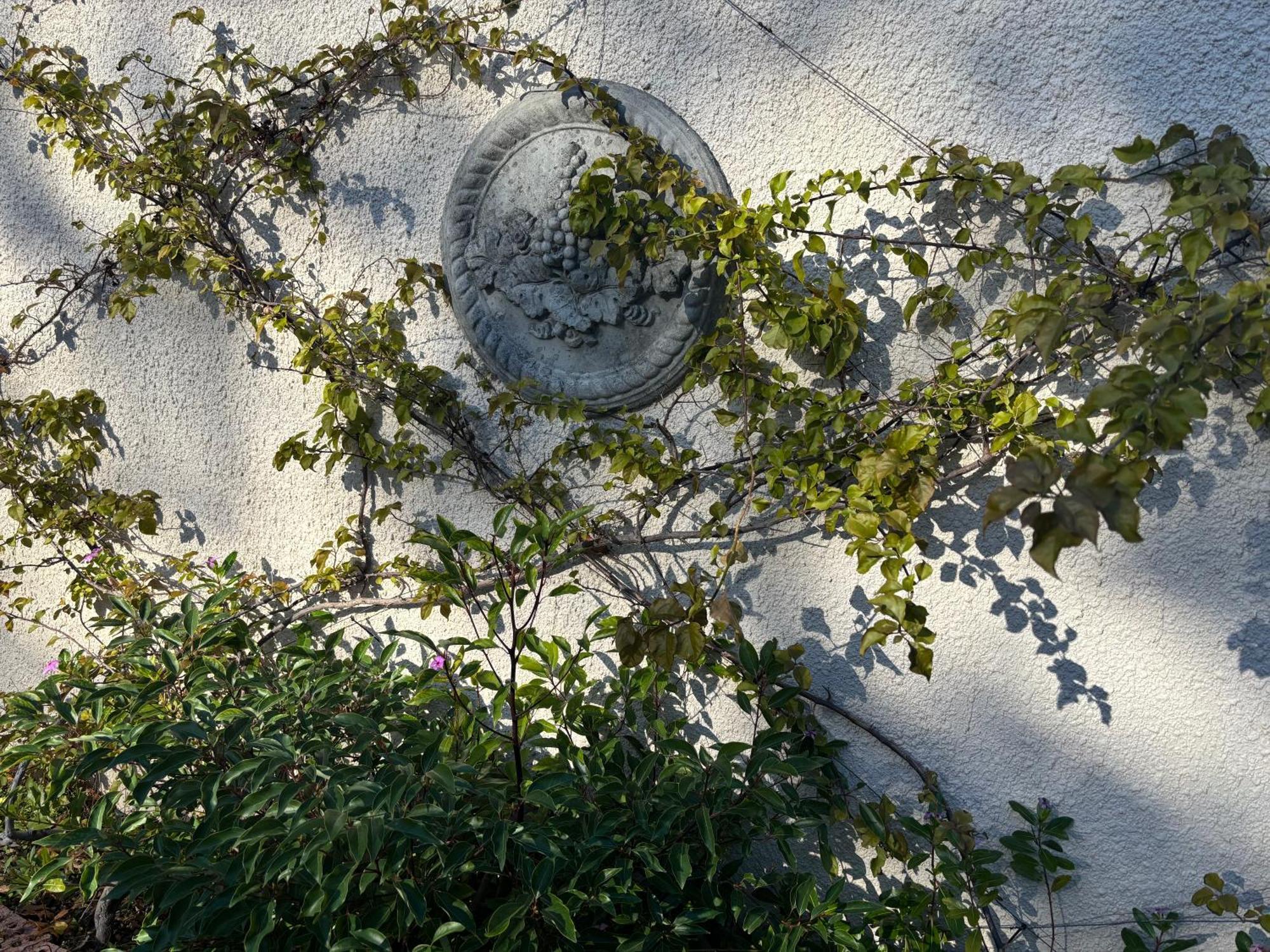 סטלנבוש In The Vine Country Manor Guesthouse מראה חיצוני תמונה